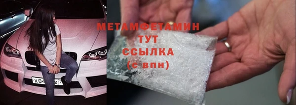 прущие грибы Покровск
