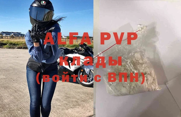 прущие грибы Покровск