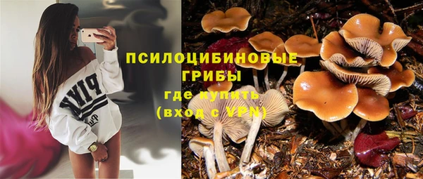 mix Алексеевка