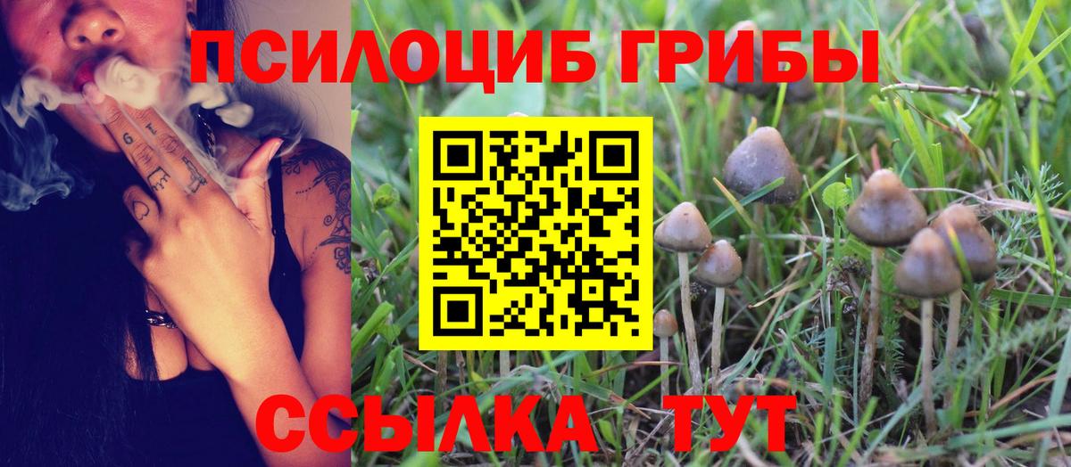 Киров  Галлюциногенные грибы Psilocybine cubensis  даркнет сайт  Вход с VPN  Галлюциногенные грибы мицелий 